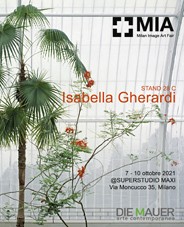 Mia Image Art Fair